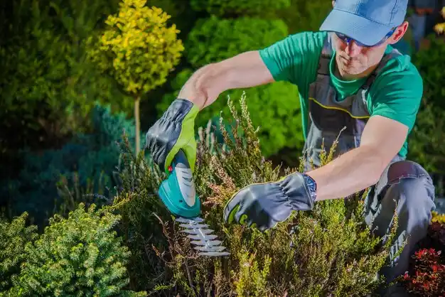 landscaping services Walden
